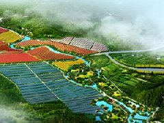 鄭州市工信局：積極構建管城區、經開區、中牟縣“兩區一縣”氫燃料電池汽車