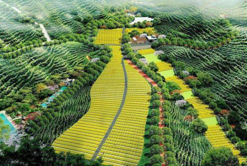 甘肅國家農業(yè)科技園區(qū)創(chuàng)建（2022國家農業(yè)科技園區(qū)創(chuàng)建）