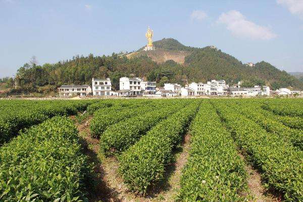 湖南寧鄉(xiāng)國家級農(nóng)業(yè)科技園區(qū)打造湘菜產(chǎn)業(yè)“技術硅谷”