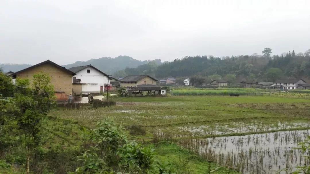 農(nóng)村土地確權(quán)結(jié)束，沒登記的四荒地如何處理？