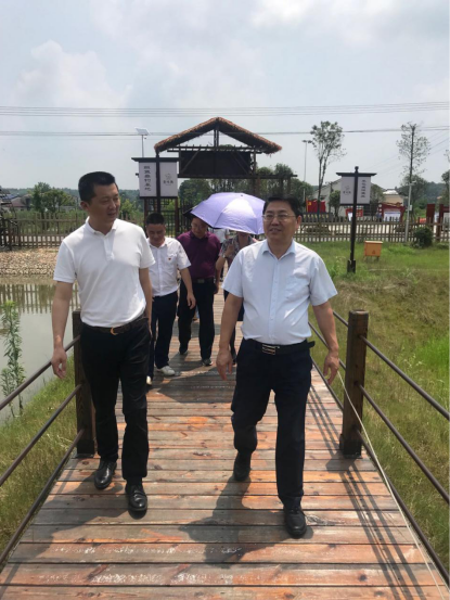 長沙鄉村振興正當時，鄉村治理獲贊譽